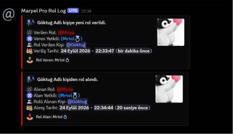 Rol Log görseli
