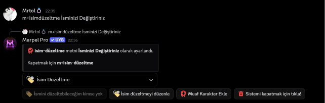 İsim Düzeltme görseli
